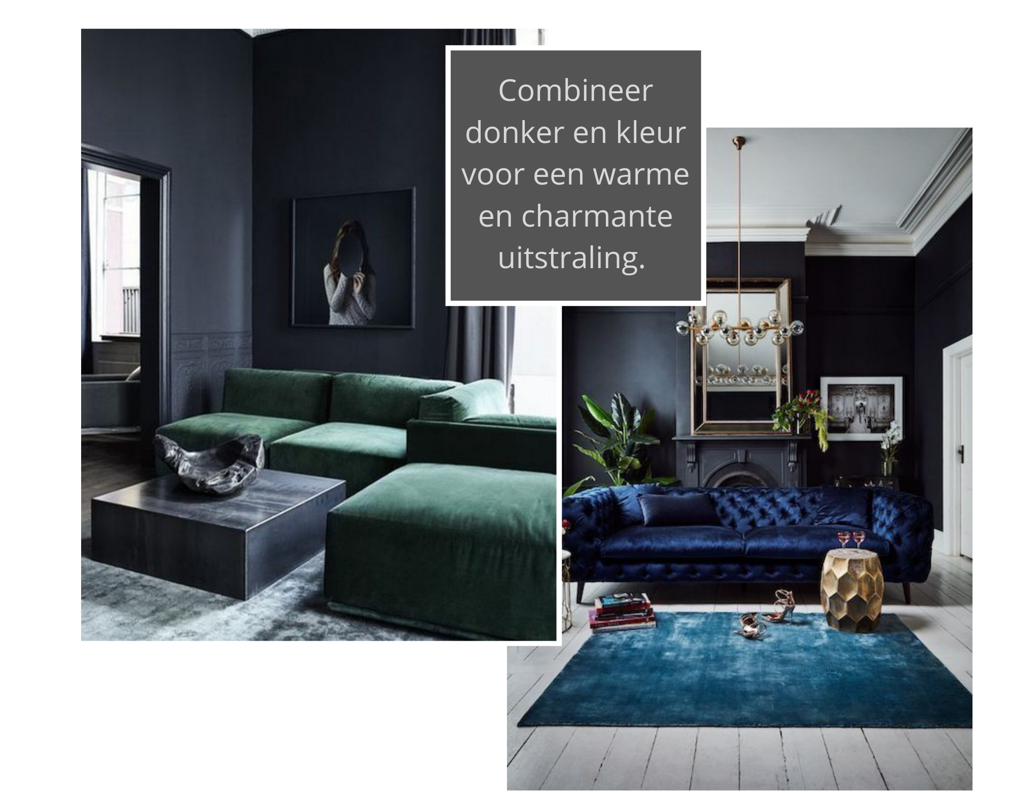 spier Absoluut Welsprekend Inspiratie voor een donker interieur | MijnRaamdecoratie